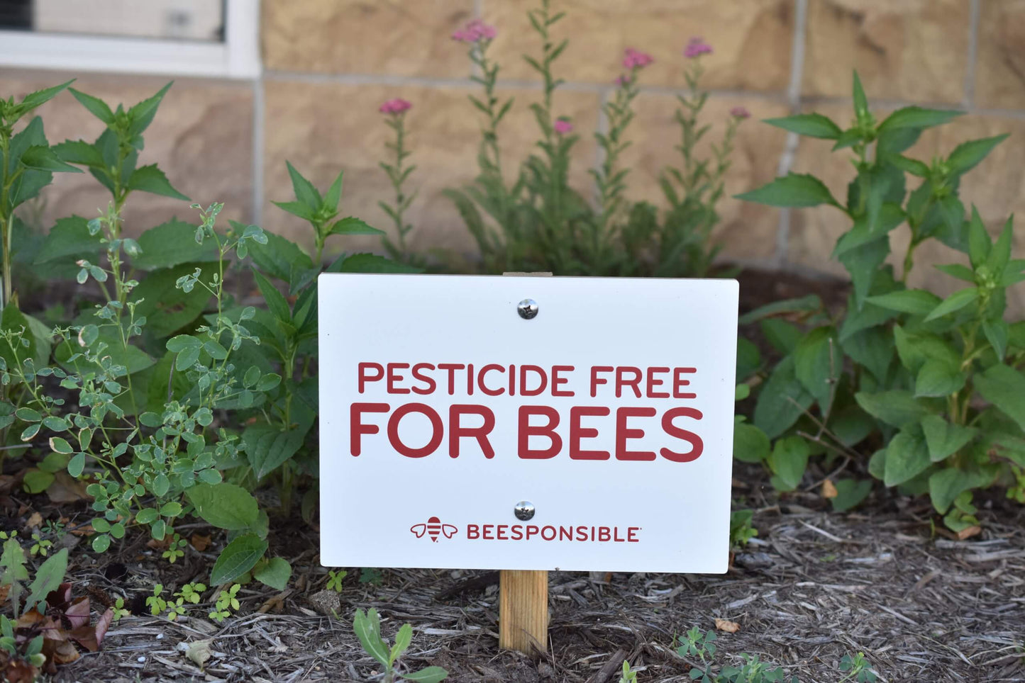Garden Sign: Pesticide Free For Bees (11x8")