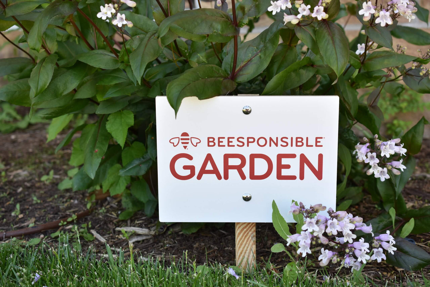 Garden Sign: Beesponsible Garden (11x8")